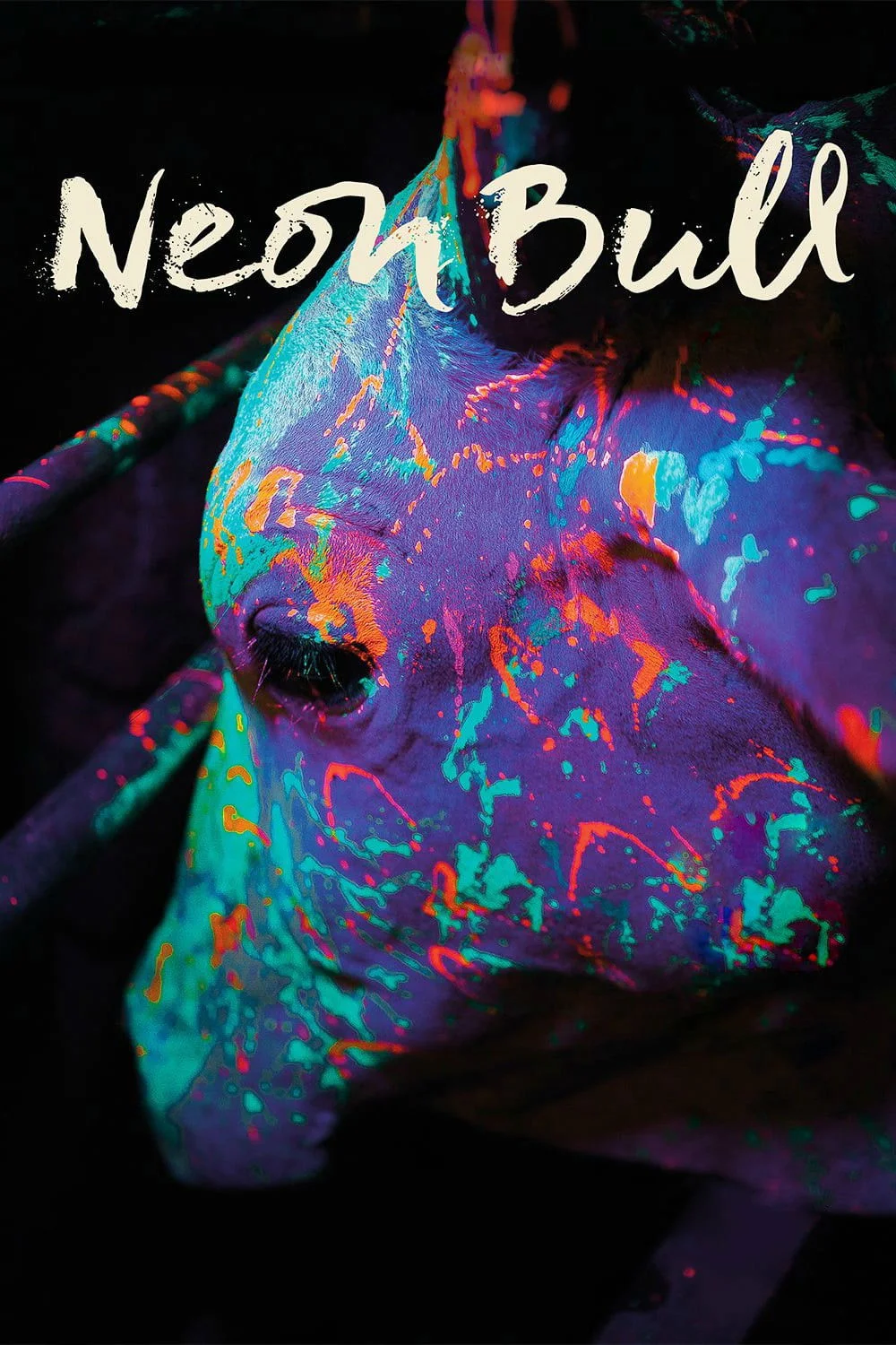 Neon Bull cover